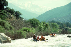Sequoia Park and the Kaweah River